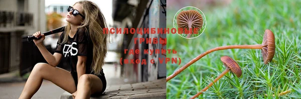 стафф Баксан