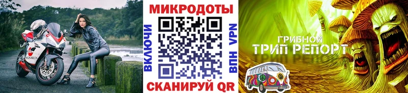 Псилоцибиновые грибы Psilocybe закладка Краснокаменск